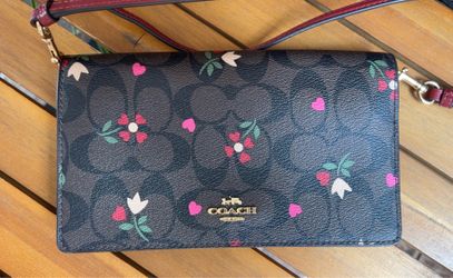 Small Coach Purse