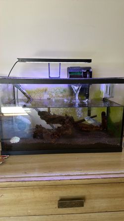 10 gallon fish tank