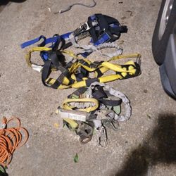 3 Harness 30 Each Or Make Offer