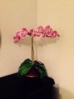 Beautiful vase decorations
