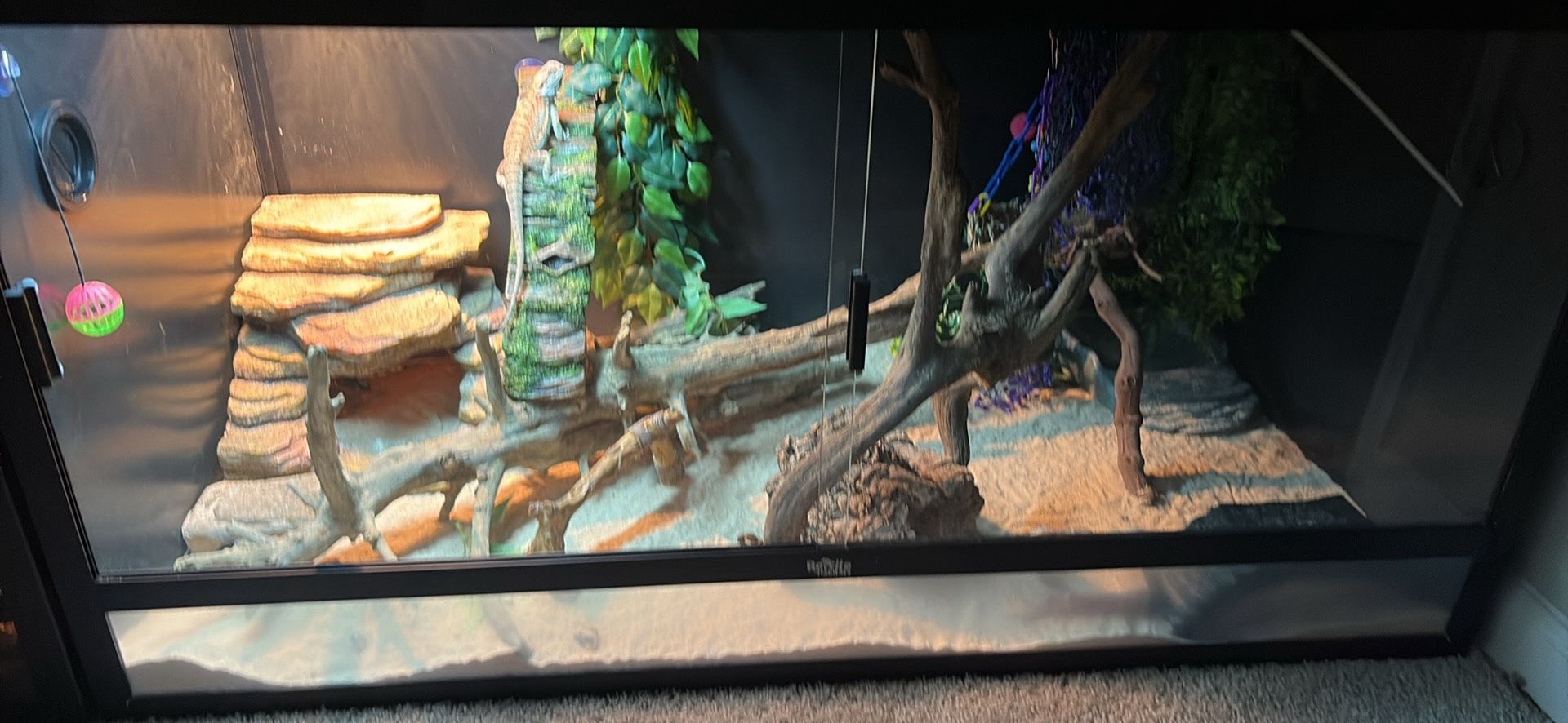 120 Gallon Enclosure