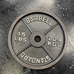 Pair Of 45lbs Plates 