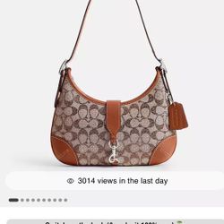Coach Hobo Bag Cristal