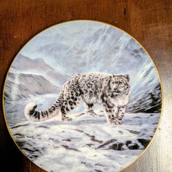 Collectors Plate