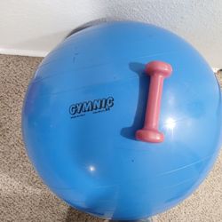 Exercise Ball- Blue
& A 5lb Dumbbell-Pink