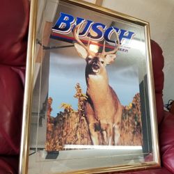 vintage busch mirror 2'x1.5'