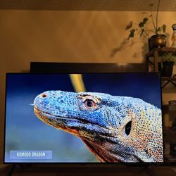 48” LG 4K OLED EVO 