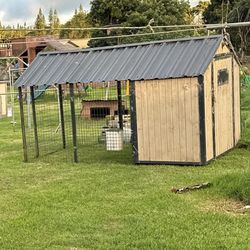 Chicken Coop