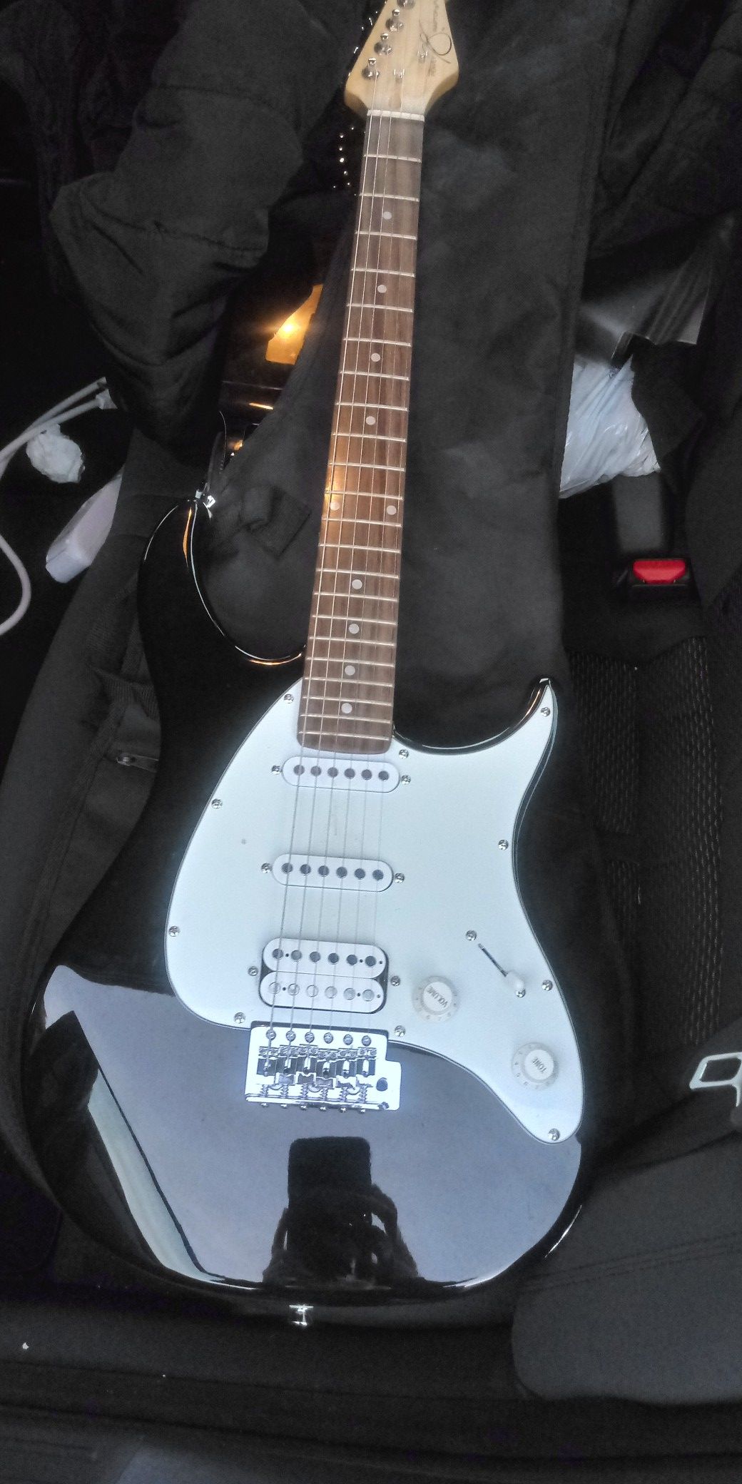 Peavey Raptor electric guitar w/bag, strap and picks new