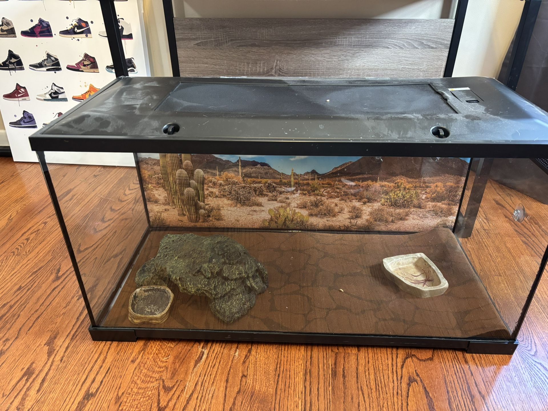 Lizard Tank