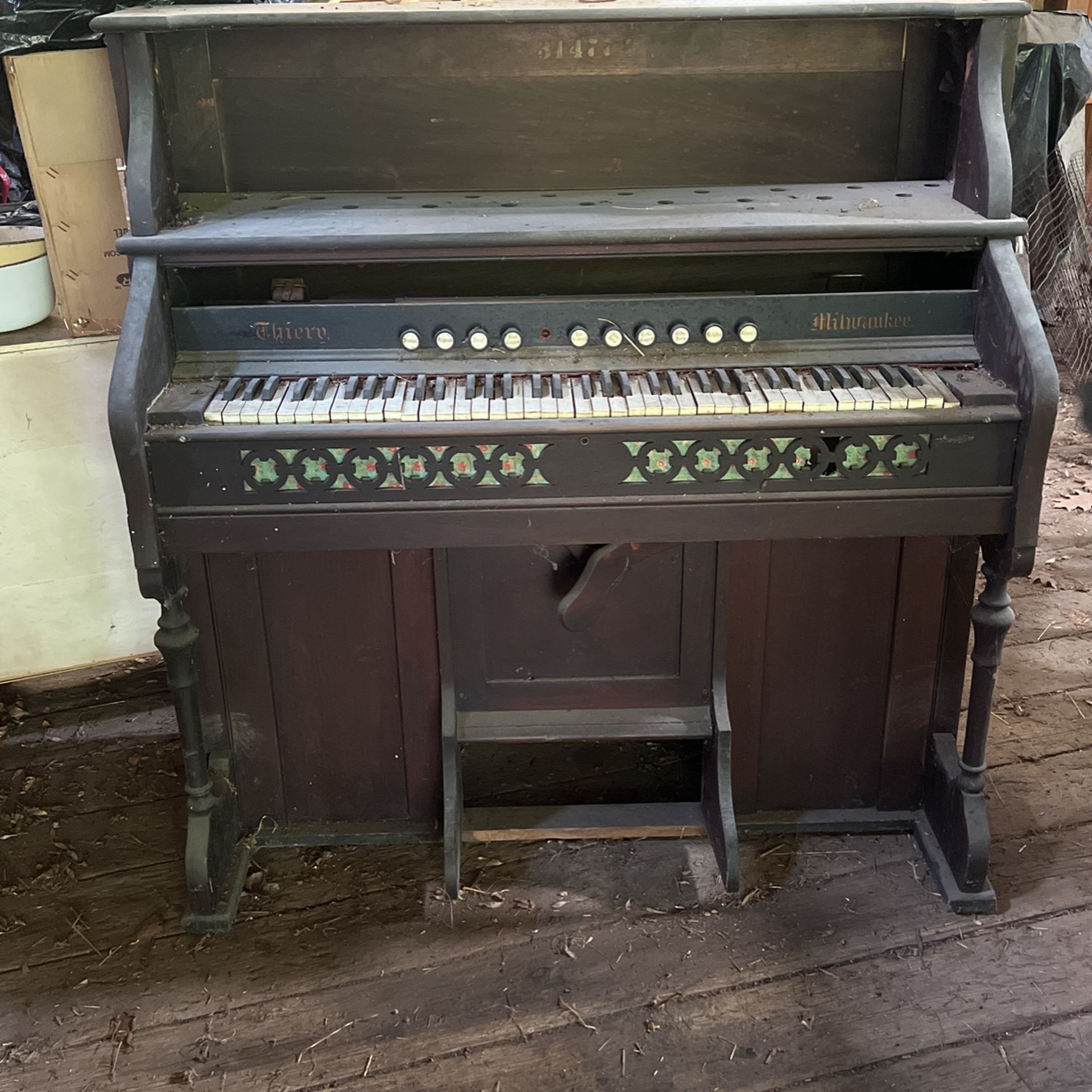 Organ