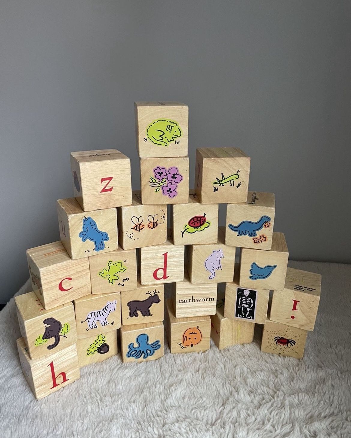 Pottery Barn Kids Wooden Wood Building Alphabet ABC Blocks Animals Insects Etc