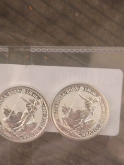 1/4 oz .999 silver rounds