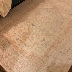 FREE area Rug 6’7 X9