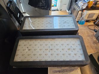 2 Phlizon 600w LED grow lights
