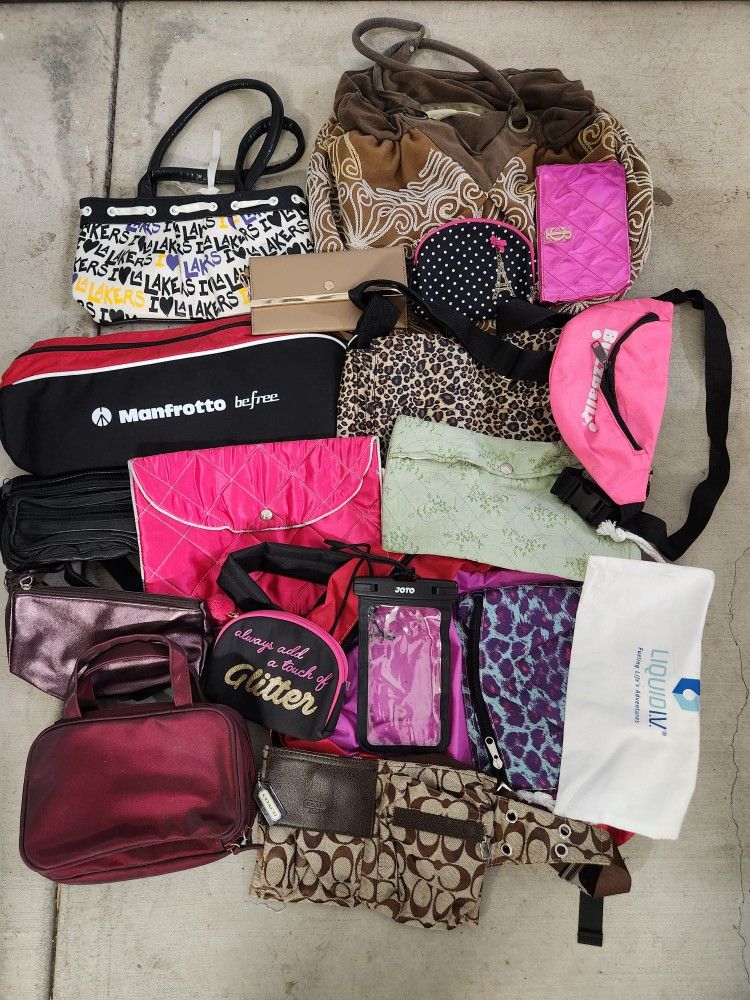 Bag Full Of Purses For $20