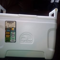 Igloo 25 Quart Cooler Unused