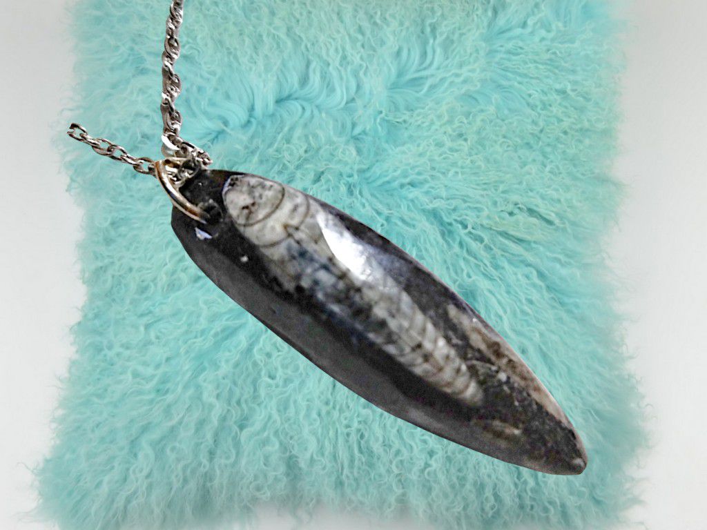Genuine Fossilized Orthoceras Pendant with Stainless Steel Necklace. Shipping Only. 