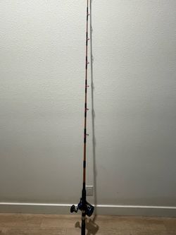 Sea stalker rod and guardian reel