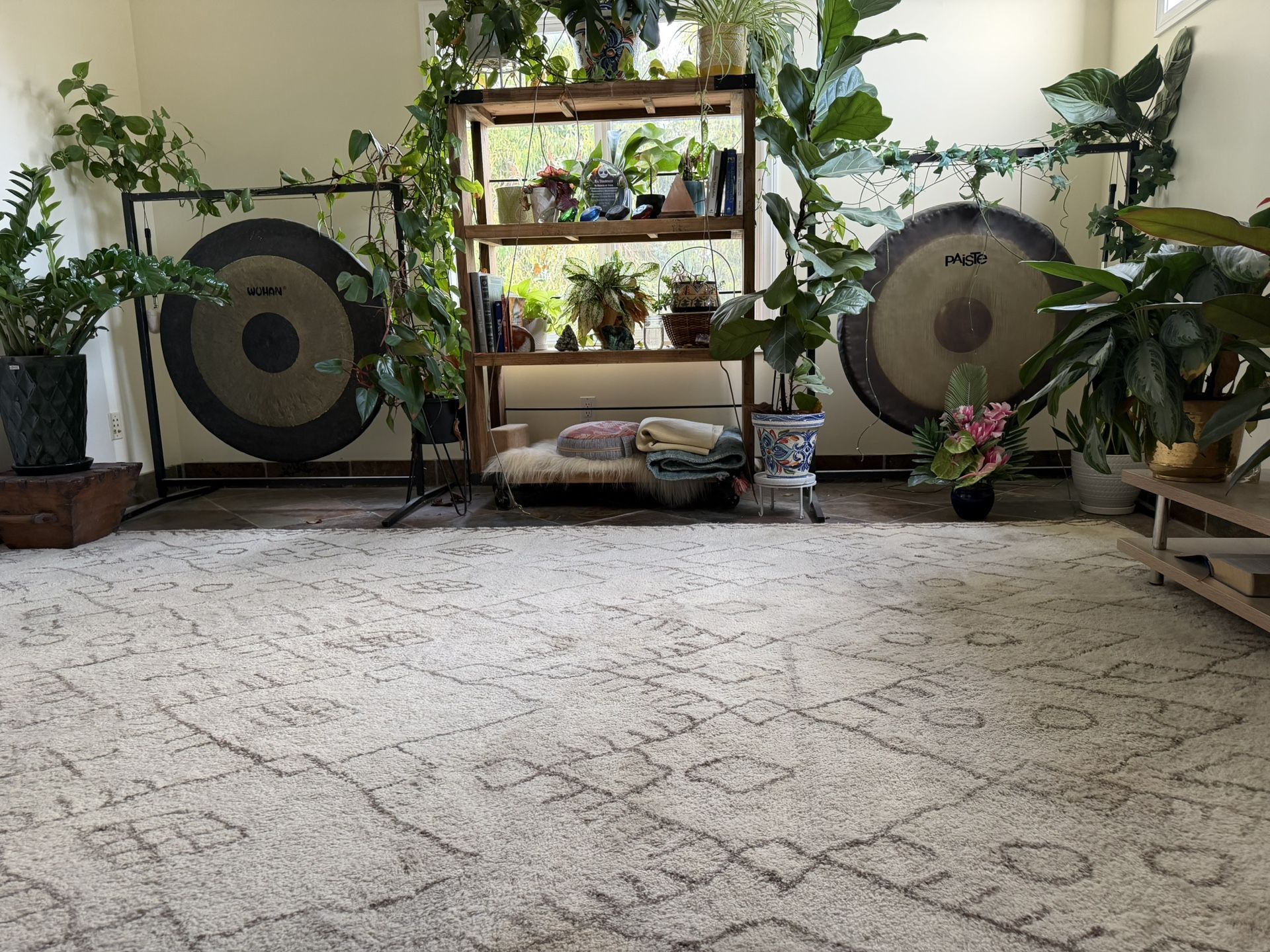 Amazing Hand Tufted Wool Jaipur Rug carpet 9x13