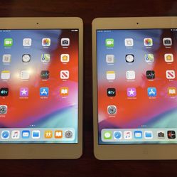 Ipad Mini 2