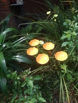 Metal Poppies Yard Decor