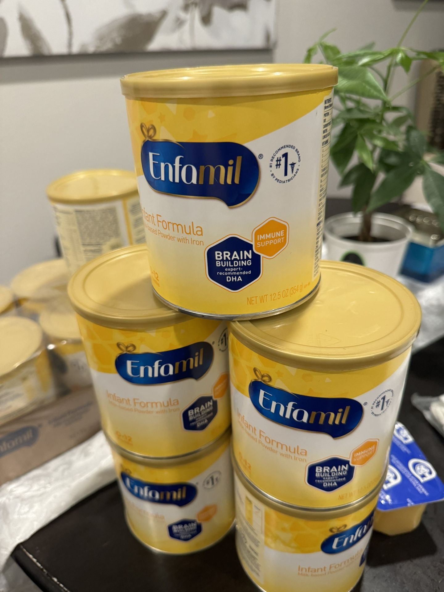 Enfamil Formula 