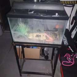 Fish Tank