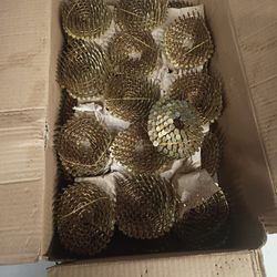 Galvanized Nails