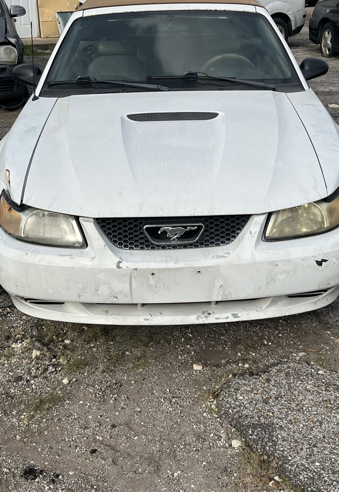 2001 Ford Mustang