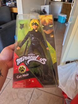 Miraculous Lady bug Cat Noir