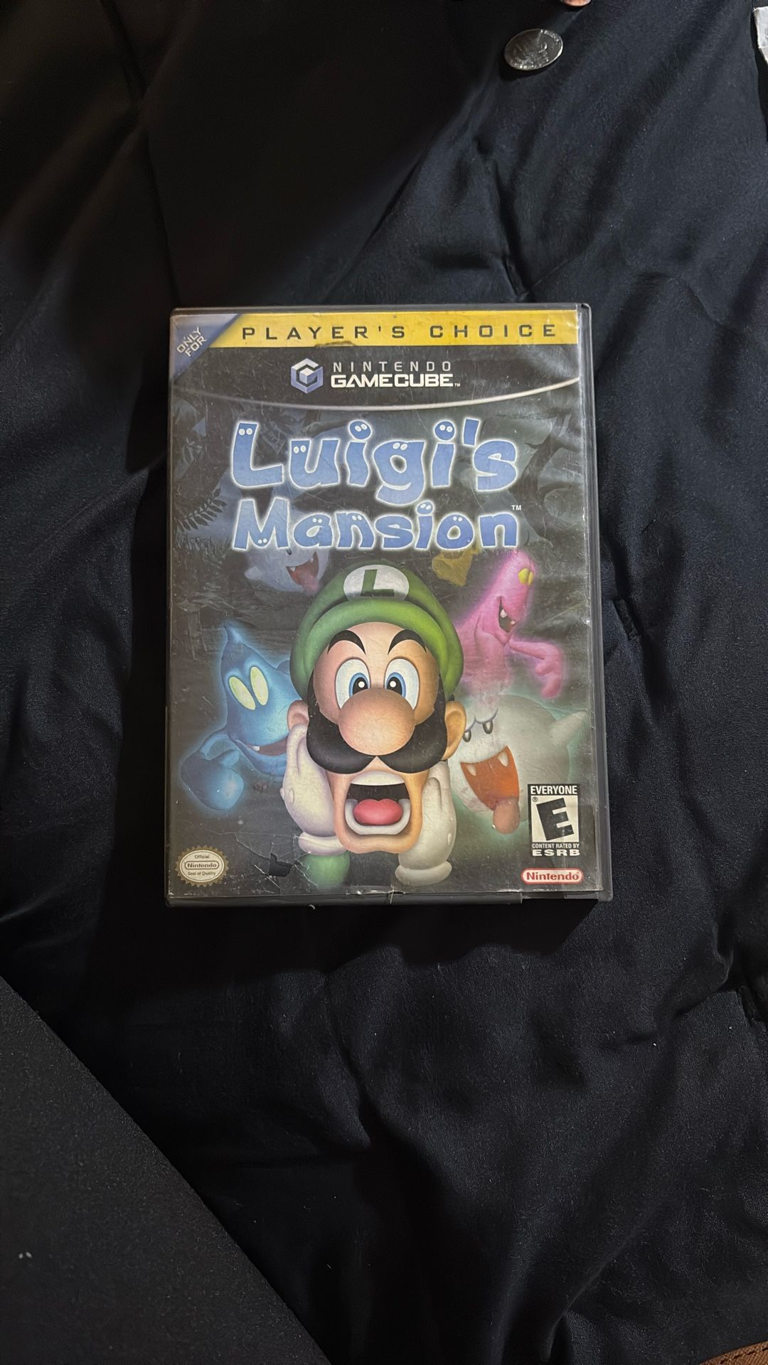 Luigi’s Mansion Game