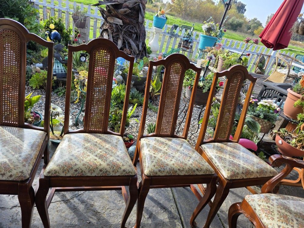 6 Queens Ann Antique Dining Chairs