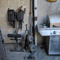 Standard Weight Plates, Barbells, And Storage