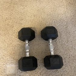 25lb Dumbbells 