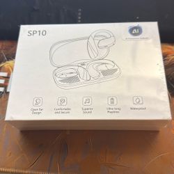 AI Language Translation Earbuds, Real-Time Translation