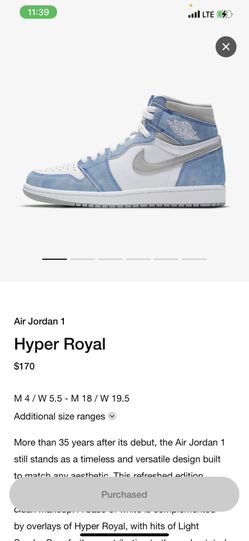 The Air Jordan 1 Retro High OG