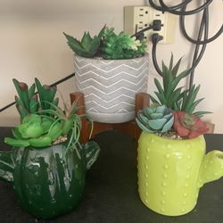 Fake Plants