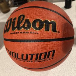 Men’s Wilson Evolution Size 7