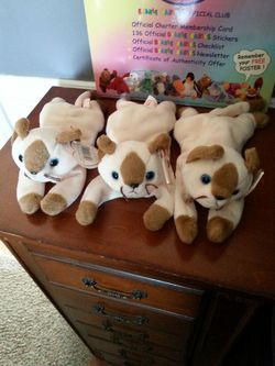 3 beanie baby cats