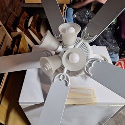 Free Ceiling Fan And Light
