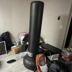 Pro Boxing Punching Bag. 