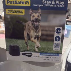 Dog Training 