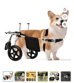 Dogs Wheelchair