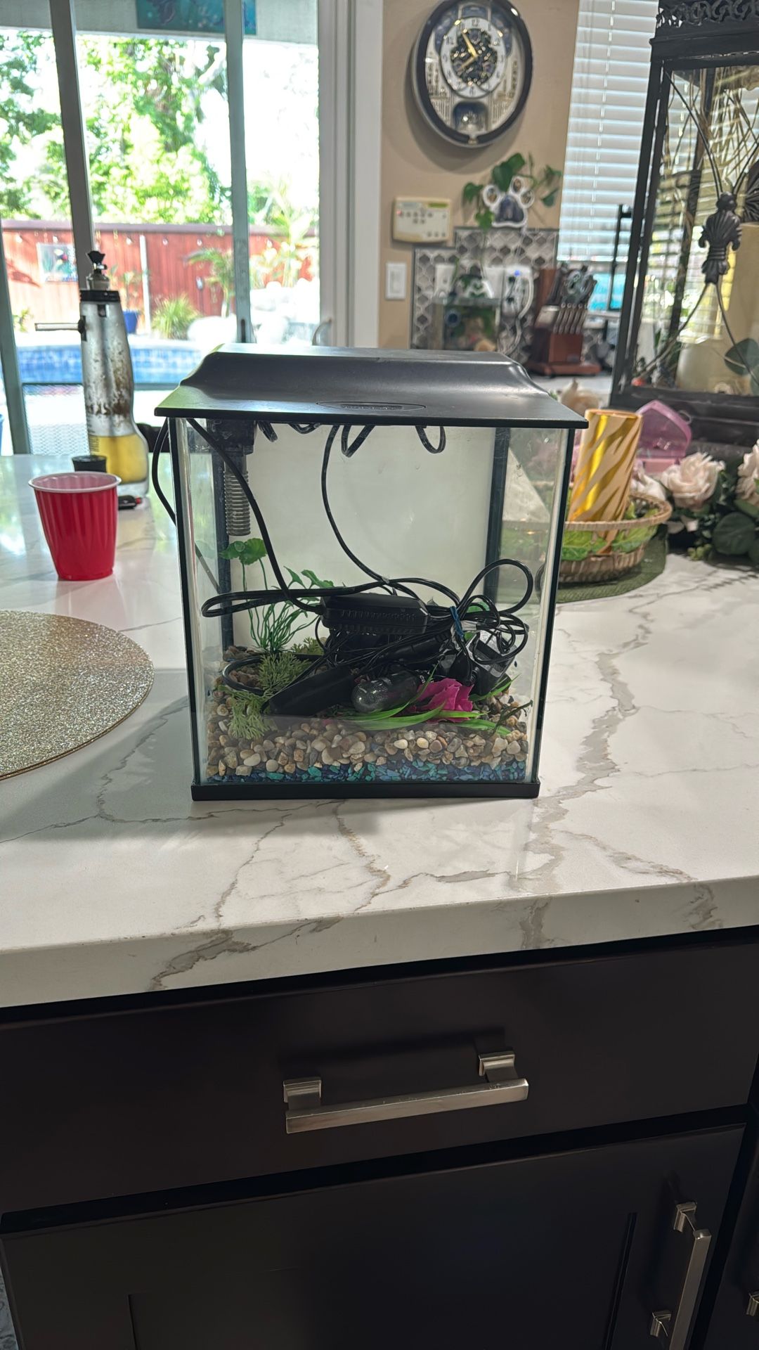 Fish Tank