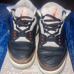 Jordan 3 Elephants 