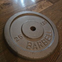 25 lb Barbell Weight Plate - Standard 1" Hole - Cast Iron