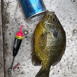 Fishing Jigs