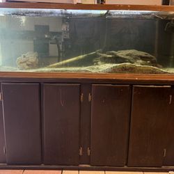 110 Gallon Fish Tank 