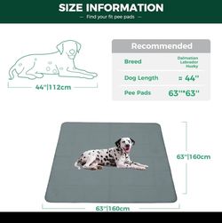 New fxw dog pee pad, leak proof, washable